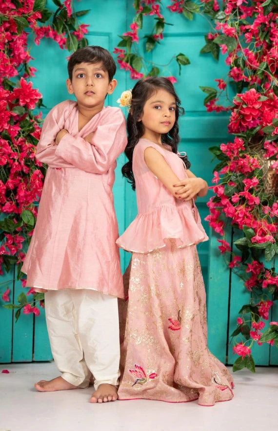 Chanderi Bird Embroidered Ghagra Set – Pink